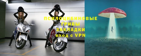 дмт Алексин