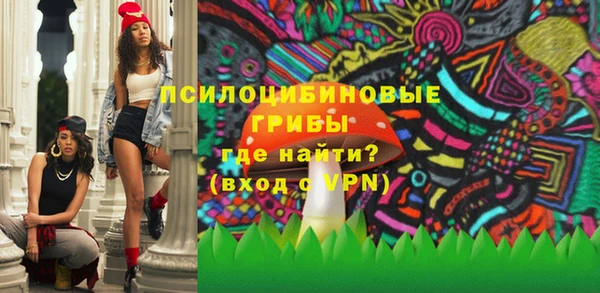 гидра Алексеевка