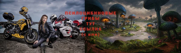 гидра Алексеевка