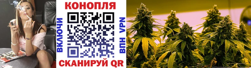 гидра как войти  купить наркотики сайты  Звенигово  Бошки марихуана планчик 